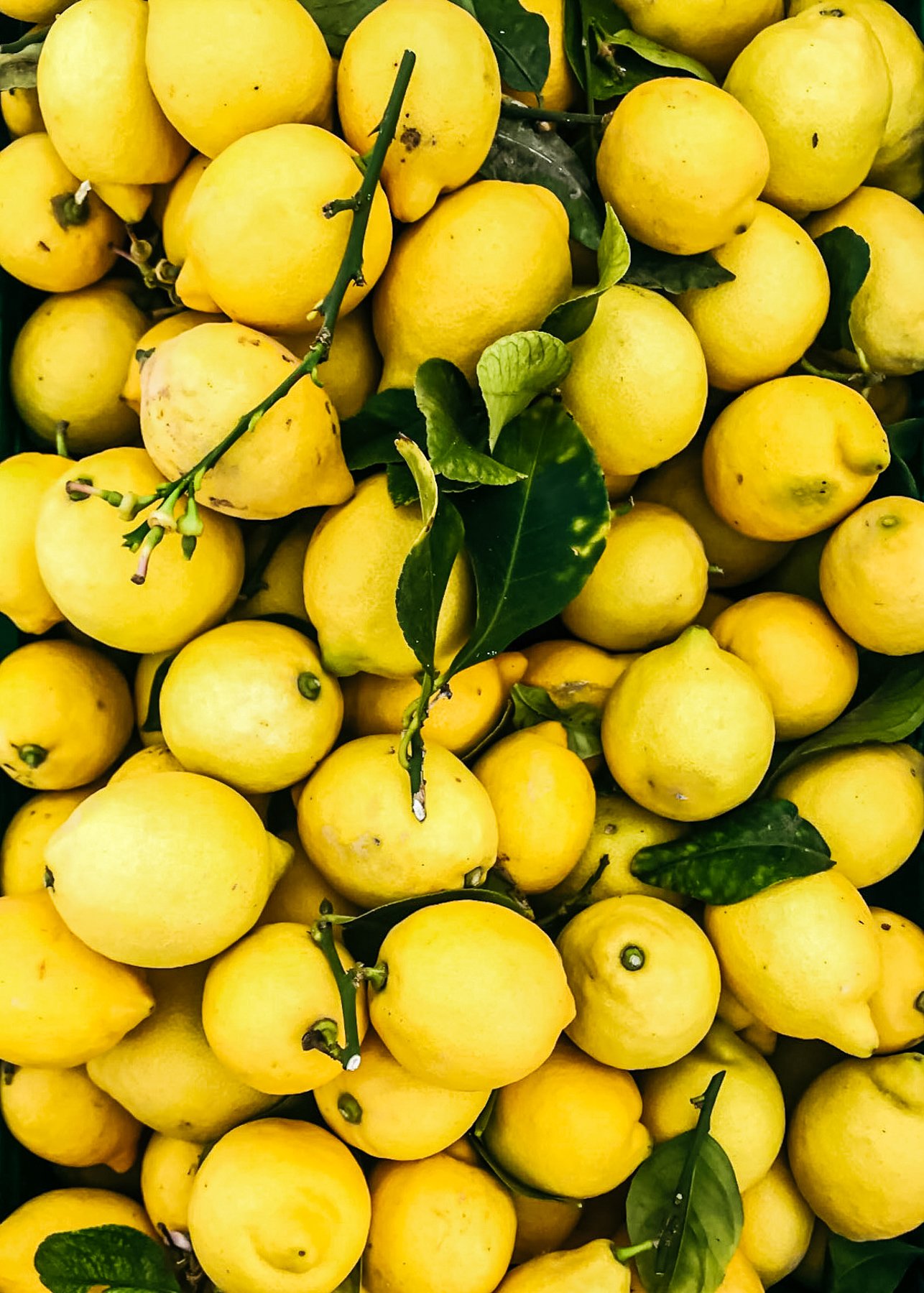 Lemons at the Farmers Market
